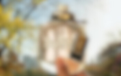 Etapa4_